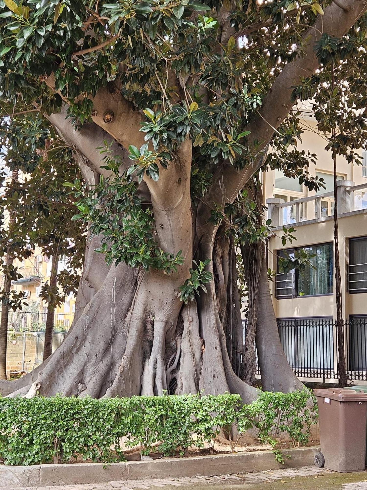 Appartement Casa Porta Nuova à Palerme Extérieur photo
